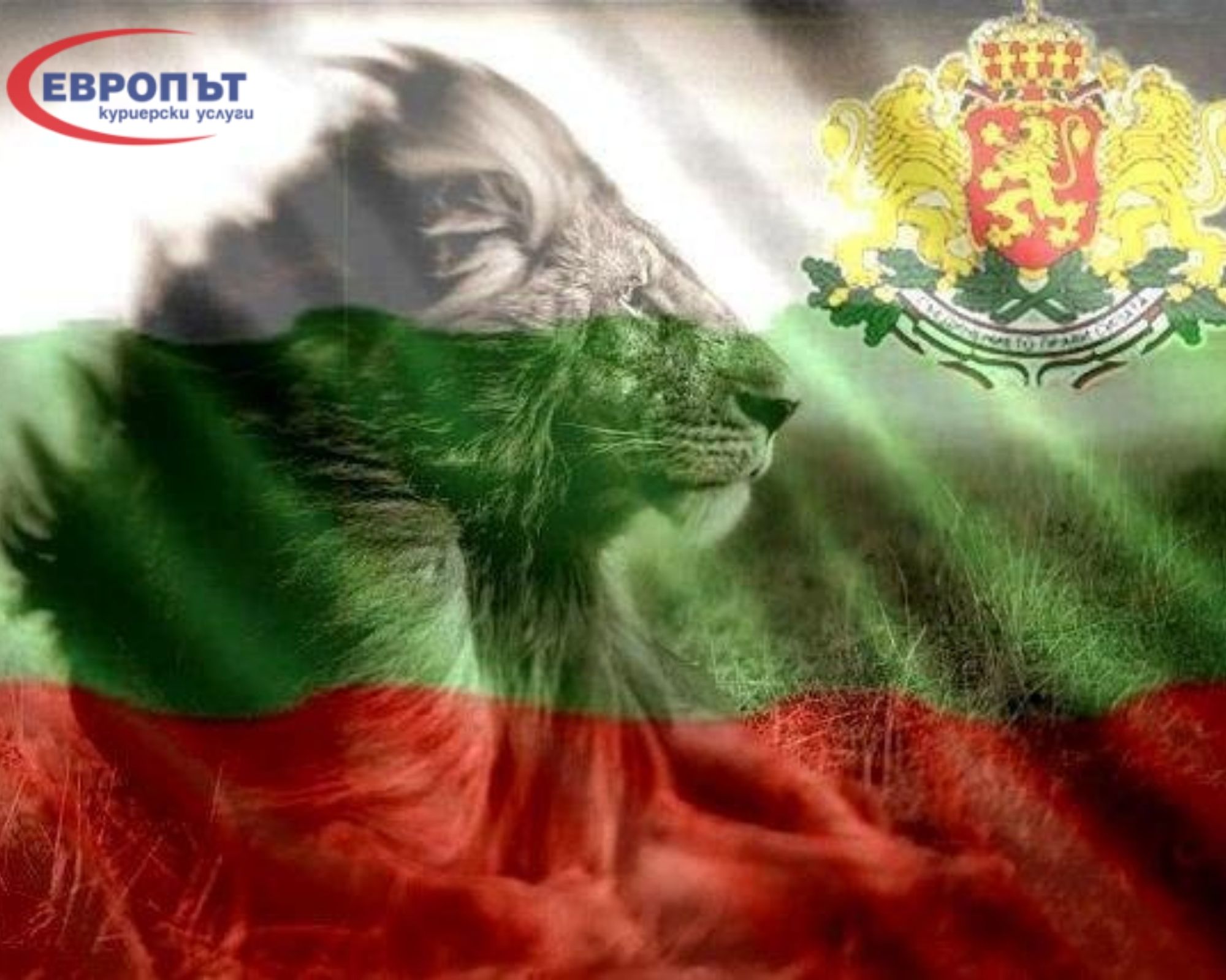 for full image description go to the post